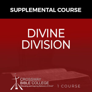 DIVINE DIVISION
