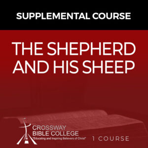 The Shepherd And His Sheep